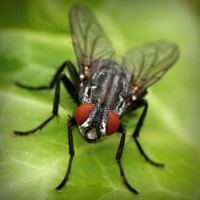 /album/mobilon/photolia-a01-jpg/