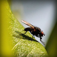 /album/mobilon/photolia-a04-jpg/