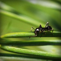 /album/mobilon/photolia-a05-jpg/