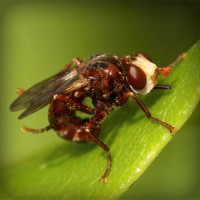 /album/mobilon/photolia-a06-jpg/