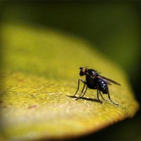/album/mobilon/photolia-a07-jpg/