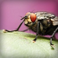 /album/mobilon/photolia-a08-jpg/
